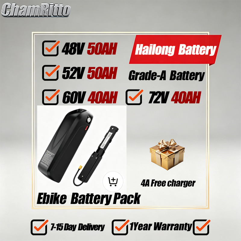 72V 50Ah 21700 Lithium Battery - E-Bike Akku 21700 Hailong Polly 36V
