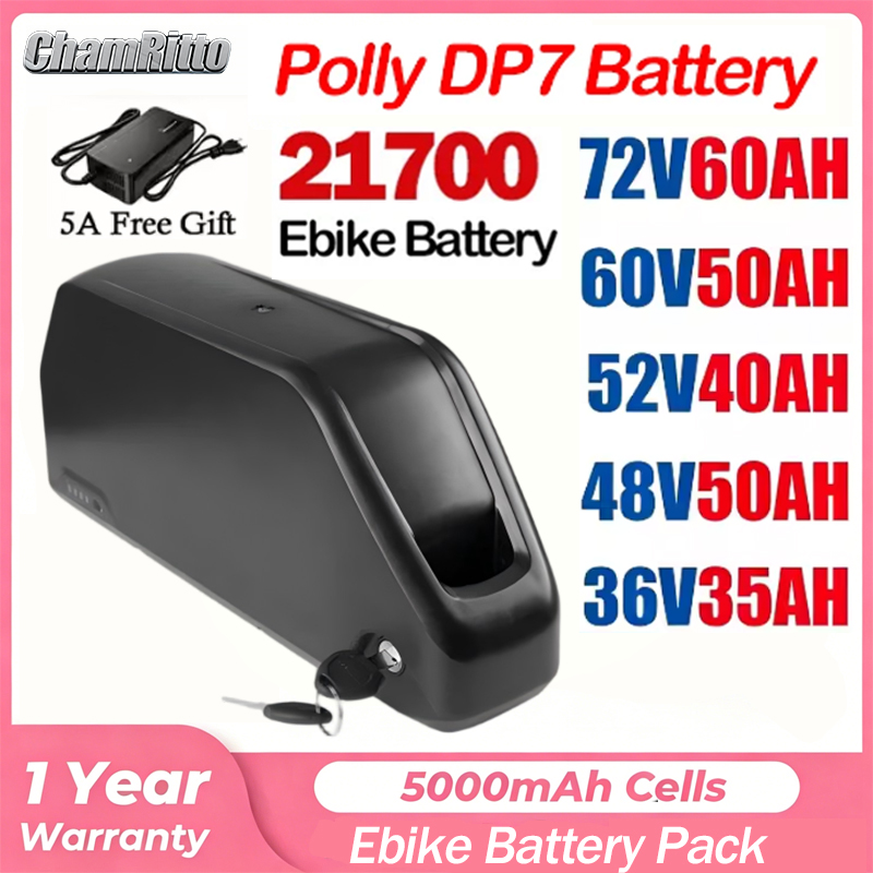 52V 50Ah Hailong Polly 48V 60V – 72V 40Ah Lifepo4 Battery Pack Bewertung und Preis